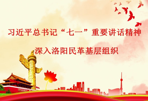 习近平总书记“七一”重要讲话精神深入洛阳民革基层组织
